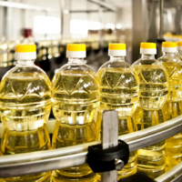 Выпуск растительного масла в России в октябре обновил рекорд, составив 761 тыс. тонн