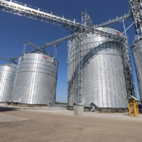 Запасы пшеницы в Грузии на исходе: мелькомбинаты полностью прекращают работу