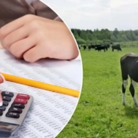 Аграрная кредитная корпорация начала выдачу льготных микрокредитов: предусмотрено 40 млрд. тенге