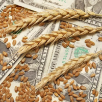 ФАО: мировые цены на базовые продукты снижаются третий месяц подряд