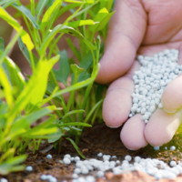 В Казахстане на субсидирование приобретения минеральных удобрений предусмотрено 38,4 млрд. тенге 