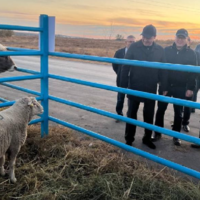 Оборот сельхозпродукции между Казахстаном и Кыргызстаном достиг за 8 месяцев почти 160 млн. долларов 