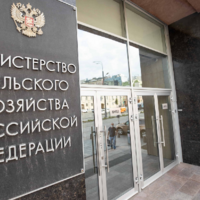 Число заместителей министра сельского хозяйства России увеличится до девяти 