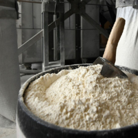 Евгений Ган: «В Казахстане из-за введенных квот могут остановиться мукомольные предприятия»