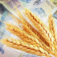 Казахстан: 20 млрд. тенге будут выделены из госбюджета на увеличение уставного капитала «Продкорпорации»