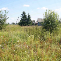 Минсельхоз РК пообещал в 2022 году вернуть государству 5 млн. га неиспользуемых сельхозземель 