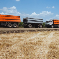«Теневой» экспорт российского зерна в Казахстан оценивается в 1,5 млн. тонн в год