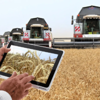 Минсельхоз: получить субсидии онлайн казахстанские фермеры смогут через gosagro.kz