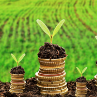 Казахстан: 1 июля Минсельхоз запускает единую бесплатную систему субсидирования