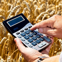 Пошлина на экспорт пшеницы из России выросла на 3,2% — до 3,028 тыс. рублей за тонну