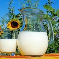 Совет ЕЭК обнуляет на полгода ввозные пошлины на часть продовольствия 