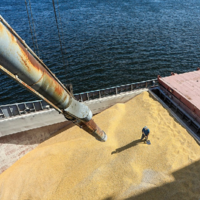 Турция и ООН продолжат усилия по доставке украинского зерна на мировой рынок