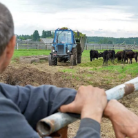 Казахстанские депутаты требуют сохранить до 2025 года действующие 42 субсидии в АПК