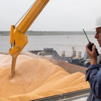 Россия настаивает на ограничении экспорта зерна всеми странами ЕАЭС