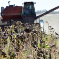 Евросоюз на год отменил ввозную пошлину на весь украинский экспорт