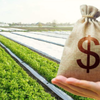 Минсельхоз РК намерен сократить число видов субсидий, передав деньги банкам на льготное финансирование