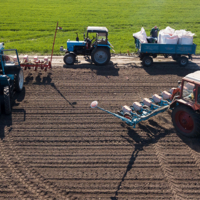 В Украине на 40% сократили площади под озимые зерновые культуры