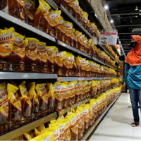 Индонезия снимает запрет на поставки пальмового масла 23 мая 
