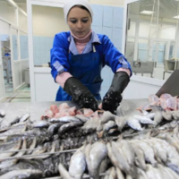 В Казахстане снизят «рыбный» НДС на 70% и планируют субсидировать глубокую переработку рыбной продукции