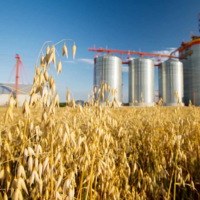 Президент Казахстана призвал бизнес Франции вкладываться в глубокую переработку сельхозпродукции