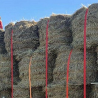 КТЖ предоставит крестьянам Мангистауской области льготные тарифы на перевозку кормов до 1 апреля 