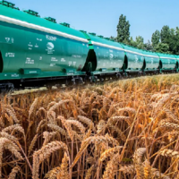 Минсельхоз Казахстана пообещал помощь перевозчикам зерна