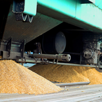 Казахстан: по сети КТЖ в октябре было перевезено 1,5 млн. тонн зерна и муки по 181 маршруту 