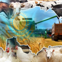 Премьера премьера: Алихан Смаилов представил план по сдерживанию инфляции в Казахстане