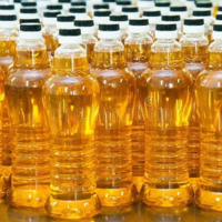 Масличный сезон: будут ли в Казахстане изменены квоты на экспорт масла и семян подсолнечника?
