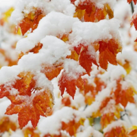 В ноябре в Казахстан придут дожди и морозы до минус 25 градусов