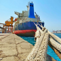 Зерновое соглашение: с 1 августа из украинских портов вышло 231 судно с 5,29 млн. тонн агропродукции