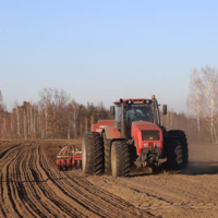 Когда в Казахстане лучше сеять яровые зерновые культуры? Казгидромет озвучил оптимальные сроки 