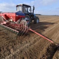 В Казахстане складываются благоприятные погодные условия для роста и развития зерновых культур