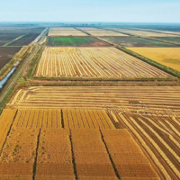 Минсельхоз России сформировал структуру посевных площадей под урожай 2023 года