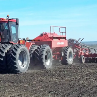 В Акмолинской области планируется засеять зерновыми и зернобобовыми культурами 4,6 млн. га, масличными — 277,6 тыс. га 