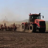 В Украине стартовала посевная кампания: что и где сеют? 