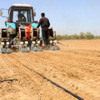 Урожай-2022: на 80% завершили весенне-полевые работы аграрии Жамбылской области 