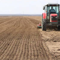 Февральская борозда: в Жамбылской области весенне-полевая кампания стартовала раньше срока