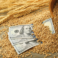 Пошлина на экспорт пшеницы из России с 1 по 7 июня вырастет до $121,2 за тонну 