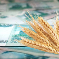 С 7 декабря экспортная пошлина на пшеницу из России повысится на 0,7%, на кукурузу — останется нулевой 
