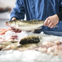 НЕРЫБНЫЕ ДНИ: в Казахстане стали есть меньше рыбы, а ее производство ушло в минус на 17,4%