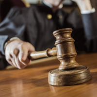 660 лет тюрьмы: в Италии посадили десятки мафиози за аферу с субсидиями из сельскохозяйственного фонда ЕС