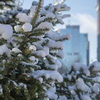 Привет, зима! Какой будет погода в декабре в Казахстане?