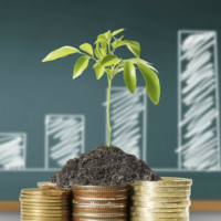 Ждет ли сельское хозяйство Казахстана другое будущее? О чем рассказал и что пообещал аграрный министр?