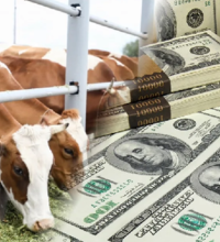 Всемирный банк аннулировал заем в 500 млн. долларов на животноводство в Казахстане