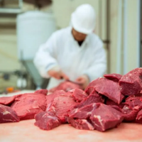 Что не так с глубокой переработкой мясного сырья в Казахстане?