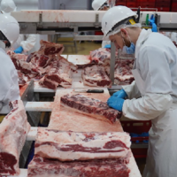 Мясной январь: за месяц производство мяса в Казахстане увеличилось на 5,3% и составило 27 тыс. тонн