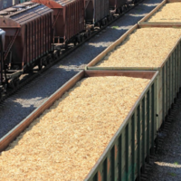 В Казахстане до конца года отменены штрафы за простой зерновозов на железных дорогах