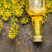 Дефицит подсолнечного масла может подтолкнуть к росту цен на рапсовое масло