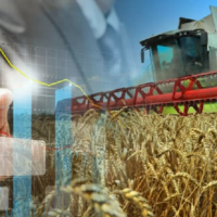 Минторговли: как намерены в Казахстане реформировать сельское хозяйство? 